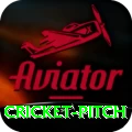 cricket pitch - Plus v3.0.0