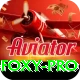 Dealer Foxy Mega Gaming App