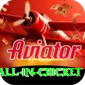 fastest ball in cricket App Royal v4.0.4