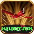 halibut fish Casino Official v5.5.5