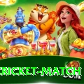 india cricket match Game Legend v1.8.9