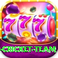 india international cricket team Bonus Mega v4.3.5