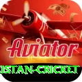 india pakistan cricket Legend v3.1.3