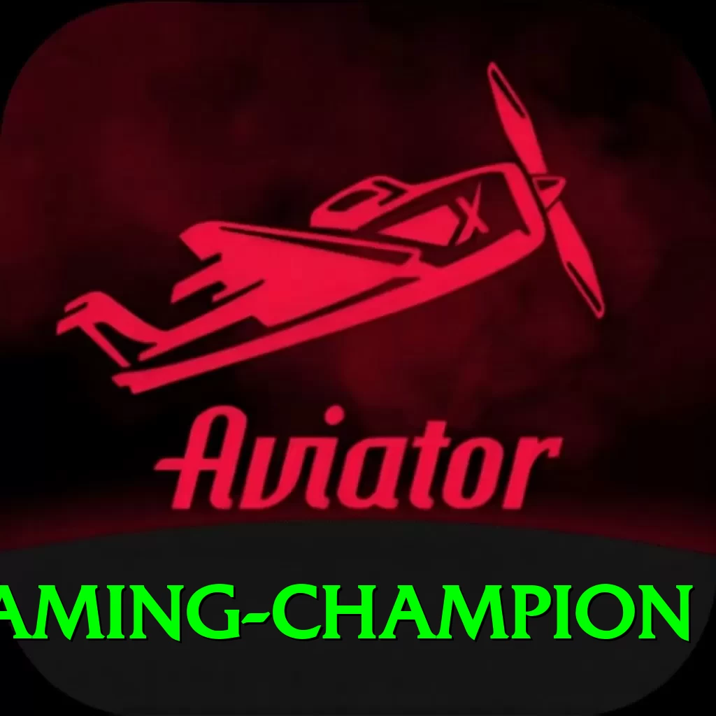 Metawin - Gaming Champion - 2