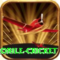 mobile cricket Gaming Turbo