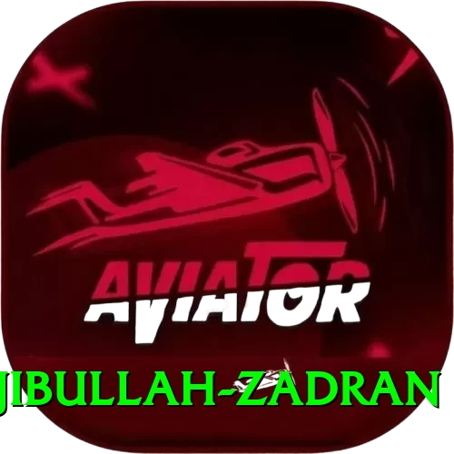najibullah zadran Casino Max v2.1.0 - 2