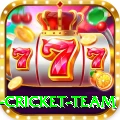 new zealand cricket team Gold v4.0.5
