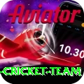 pakistan women cricket team - Plus Earning App