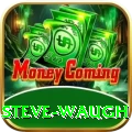steve waugh Extreme Gaming App