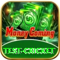 test cricket - Gaming Elite