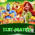 test match - Gaming Master