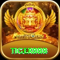 tiger888 Pro APK v1.1.2