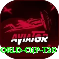 world cup t20 VIP New